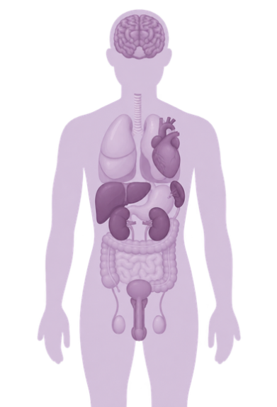 CBD-health-effects CBD-health-effects